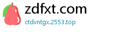 zdfxt.com